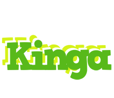 Kinga picnic logo