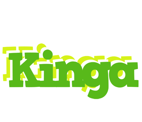Kinga picnic logo