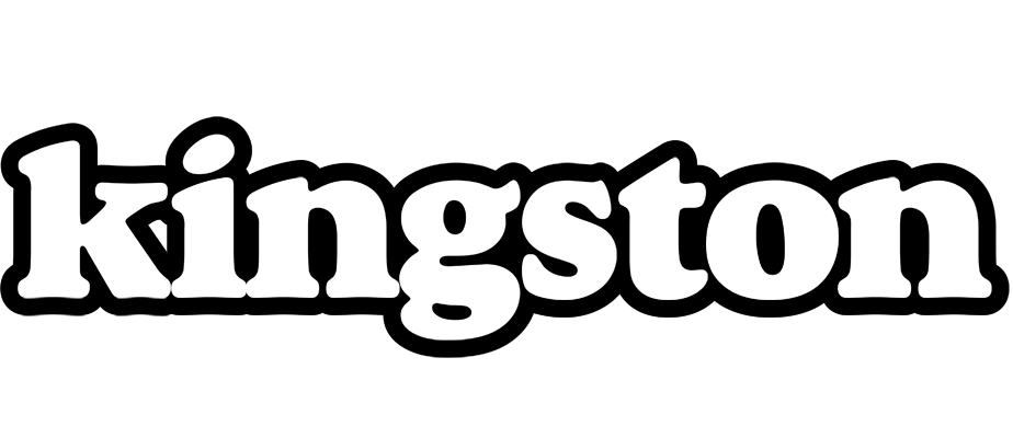 Kingston panda logo