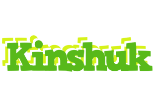 Kinshuk picnic logo