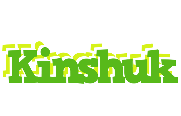 Kinshuk picnic logo