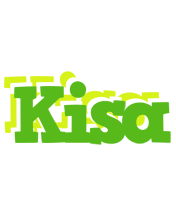 Kisa picnic logo