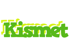 Kismet picnic logo