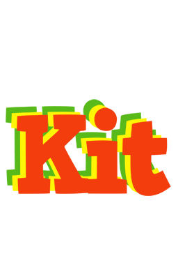 Kit bbq logo