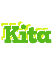 Kita picnic logo