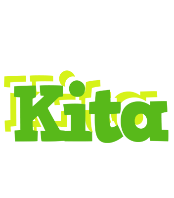Kita picnic logo
