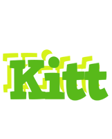 Kitt picnic logo