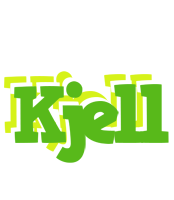 Kjell picnic logo