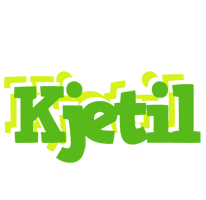 Kjetil picnic logo