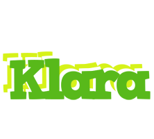 Klara picnic logo