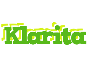 Klarita picnic logo