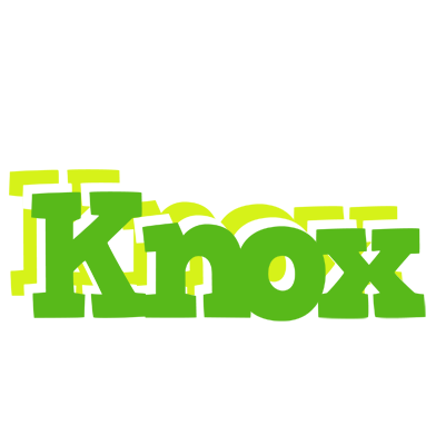 Knox picnic logo