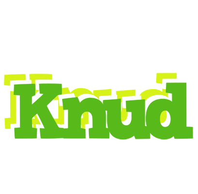 Knud picnic logo