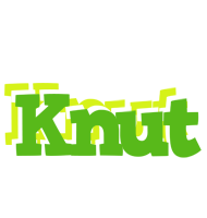 Knut picnic logo