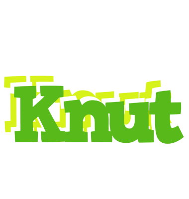 Knut picnic logo