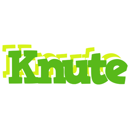 Knute picnic logo