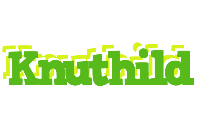 Knuthild picnic logo