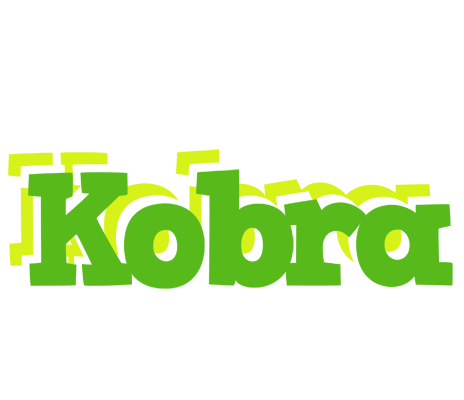 Kobra picnic logo