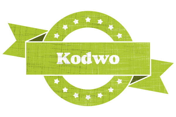 Kodwo change logo