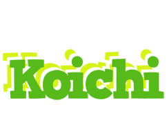 Koichi picnic logo