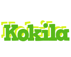 Kokila picnic logo