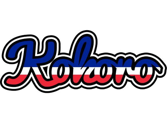 Kokoro france logo
