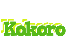 Kokoro picnic logo