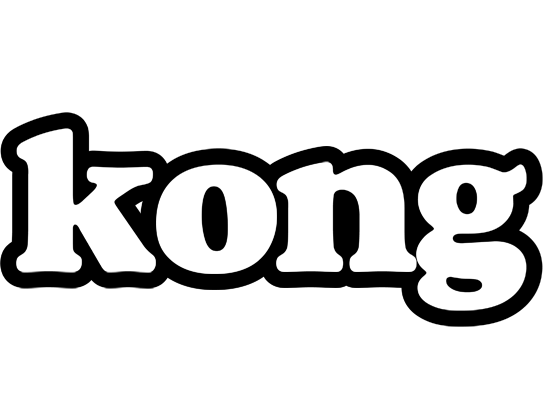 Kong panda logo