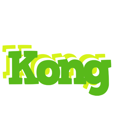 Kong picnic logo
