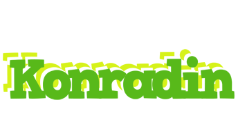 Konradin picnic logo