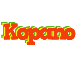 Kopano bbq logo