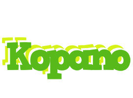 Kopano picnic logo