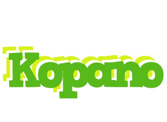 Kopano picnic logo