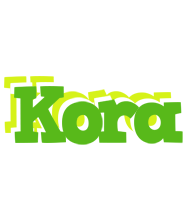 Kora picnic logo