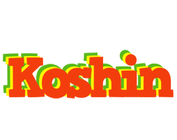 Koshin bbq logo