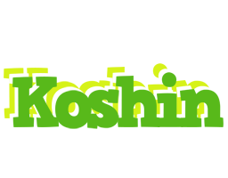 Koshin picnic logo