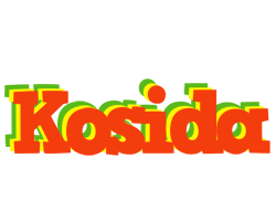 Kosida bbq logo