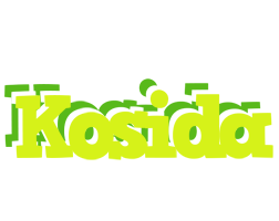 Kosida citrus logo