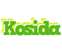 Kosida picnic logo