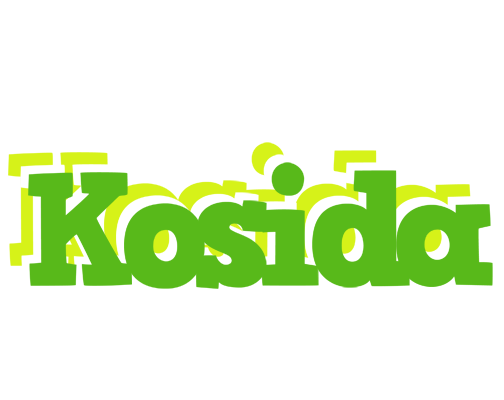 Kosida picnic logo