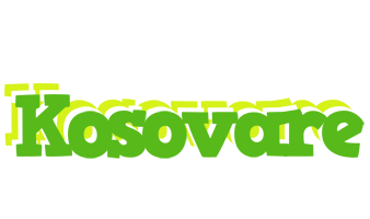 Kosovare picnic logo