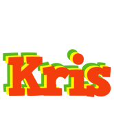 Kris bbq logo