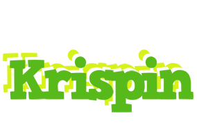 Krispin picnic logo