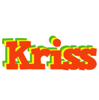 Kriss bbq logo