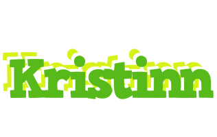 Kristinn picnic logo