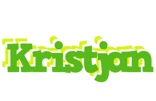 Kristjan picnic logo