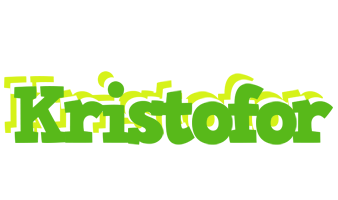 Kristofor picnic logo