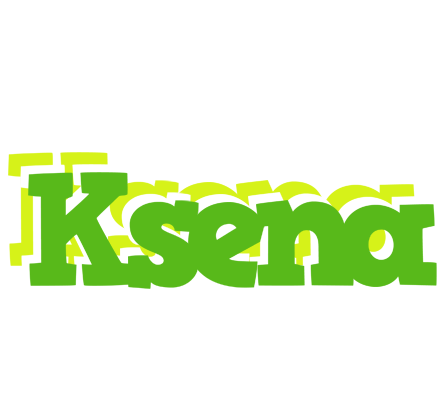 Ksena picnic logo