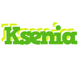 Ksenia picnic logo