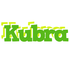 Kubra picnic logo